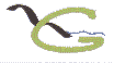 logosimposio.GIF (1024 bytes)