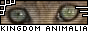 kingdom animalia - animals