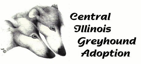Central Illinois Greyhound Adoption