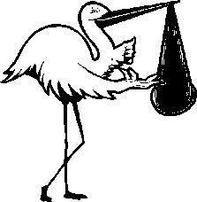 stork