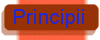 PRINCIPII