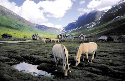 Norway - by www.vg.no
