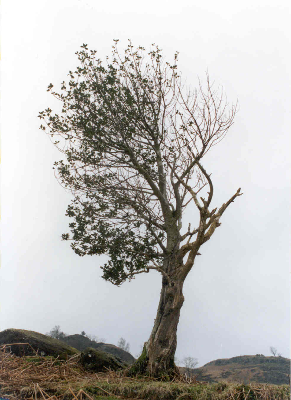 Lake District, UK