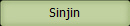 Sinjin