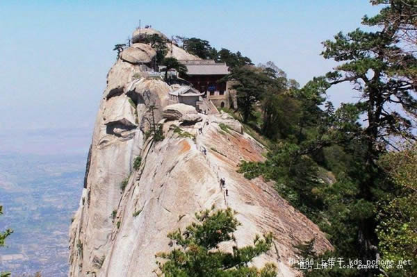 The Teahouse