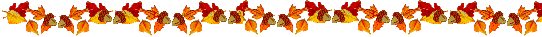 acorn line