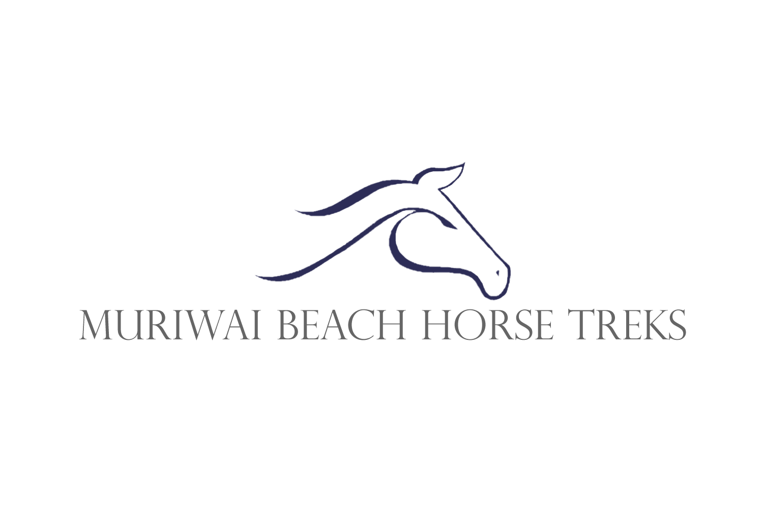 Muriwai Beach Horse Treks
