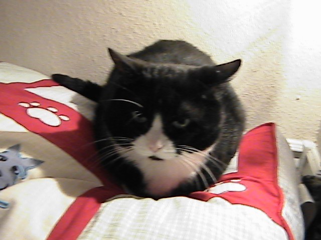 Roscoe