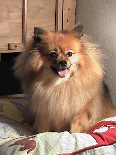 Amy Ann