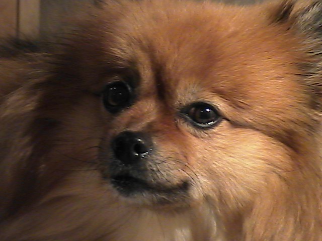 Amy Ann