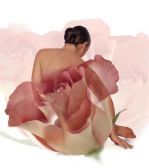 The Rose