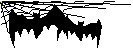 Bats