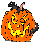 Cat and Jack-o-lantern