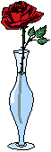 Rose in a Vase