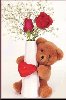 thumbnail of Bear/Rose
