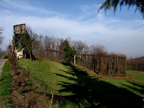 Il roccolo