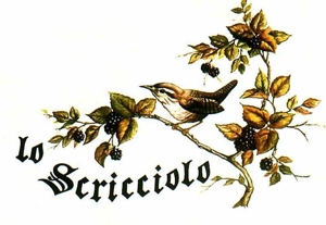 Lo scricciolo sulla parete di una casa
