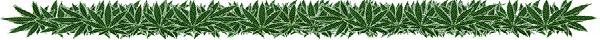 Hemp