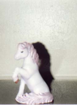 Marc's lil' pony
