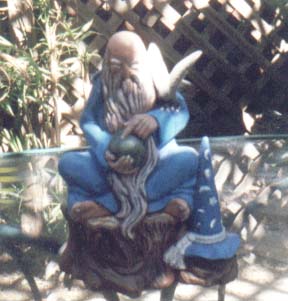Wizard