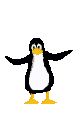 gif14.gif (4386 bytes)