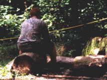 Hatching a log at camp...