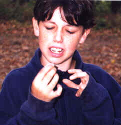 Andrew Redick wonders
if this snail tastes like it looks!
