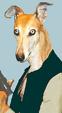 Drolen Narlig