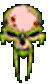 kafa.gif (12348 bytes)
