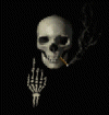 skull2.gif (17963 bytes)