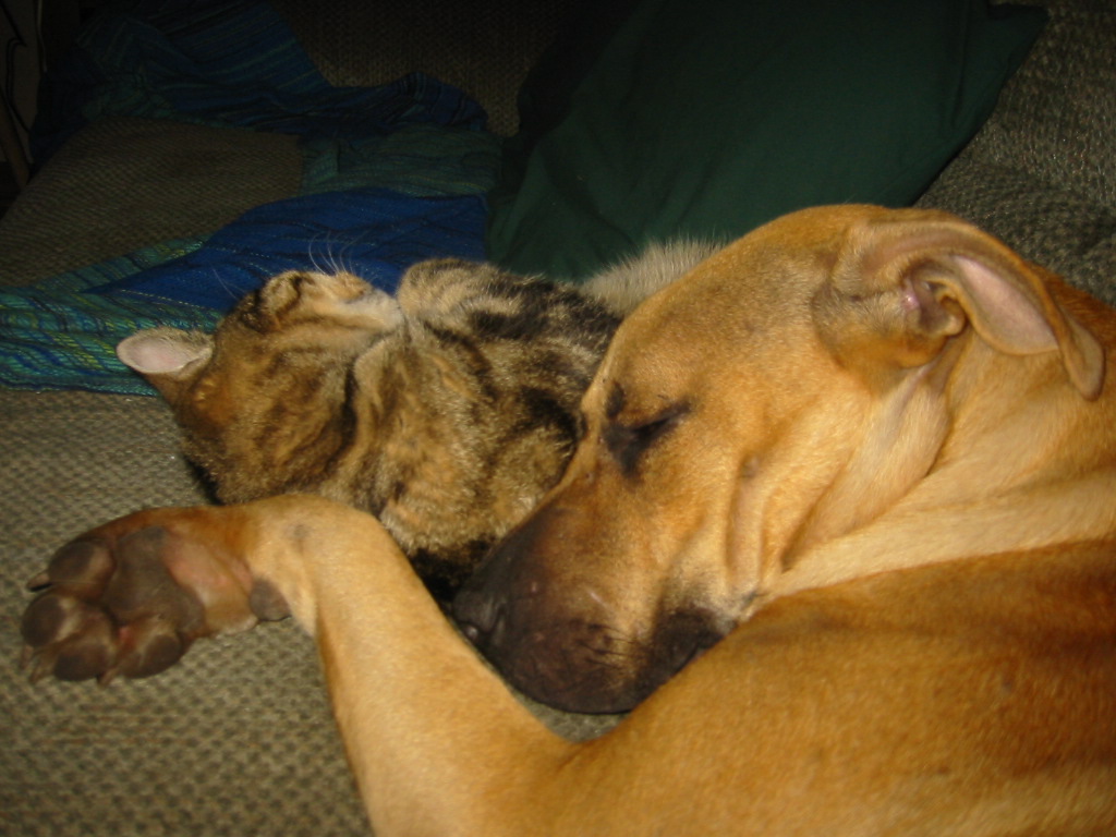 Isidore and Sachem