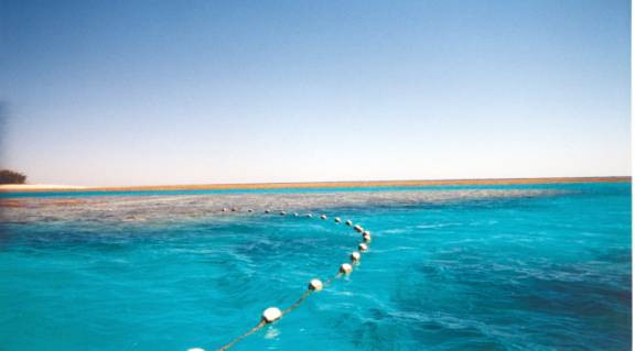 blue water