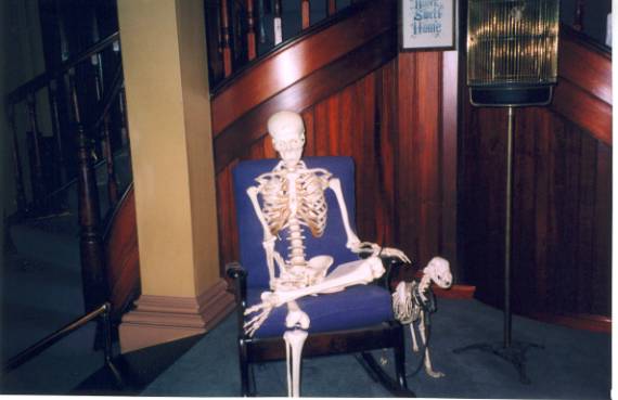 Dead guy and dog