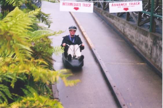 luge