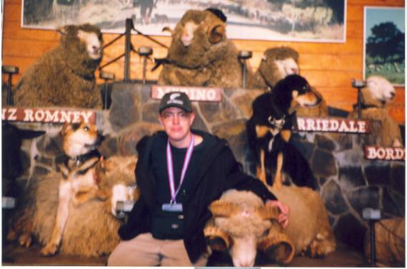 Rob and sheep