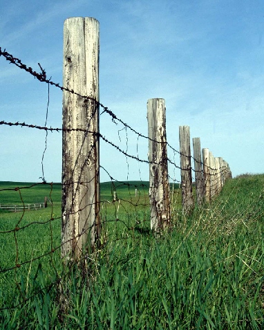 Don't Fence Me In