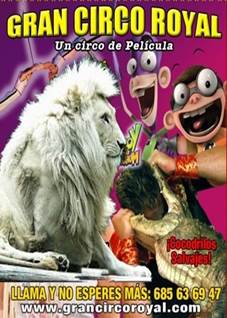 http://circoev.com/yahoo_site_admin/assets/images/Faldon20alicante.215102625_std.jpg