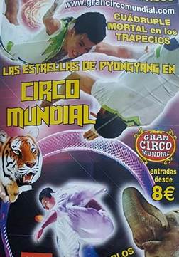 http://circoev.com/yahoo_site_admin/assets/images/12718322_235704510108266_6103037940025715603_n_1.62145602_std.jpg