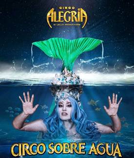 http://circoev.com/yahoo_site_admin/assets/images/31899349_1848519965199223_5910590880149929984_n.12484829_std.jpg
