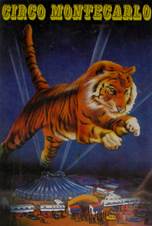 http://www.circodallas.com/montepostertigre.jpg