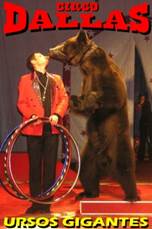 http://www.circodallas.com/pavelnatal.JPG