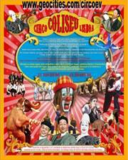 http://www.circodallas.com/coliseu2008.jpg