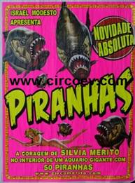 http://circoev.com/yahoo_site_admin/assets/images/piranhacev.33590907_std.jpg