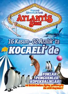 http://circoev.com/yahoo_site_admin/assets/images/kocaeliafis.31561525_std.jpg