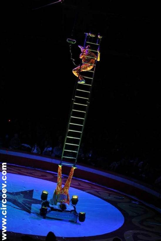 http://circoev.com/yahoo_site_admin/assets/images/26113895_1548360688579845_3526754083884168713_n.360172626_std.jpg