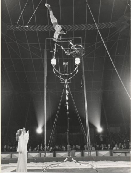 http://circoev.com/yahoo_site_admin/assets/images/1978_alemanha.35911134_std.jpg