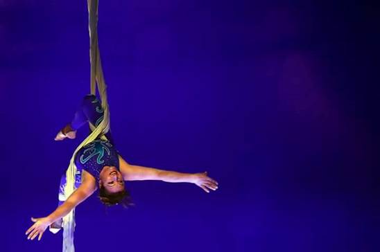 http://circoev.com/yahoo_site_admin/assets/images/25152237_1536483823100865_6558797504501125893_n.346154921_std.jpg