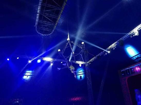 http://circoev.com/yahoo_site_admin/assets/images/24232061_1526117974137450_1627542525379226539_n.33665849_std.jpg