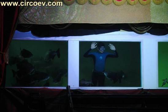 http://circoev.com/yahoo_site_admin/assets/images/22007296_1461818070567441_3835701122963796296_n.271100124_std.jpg