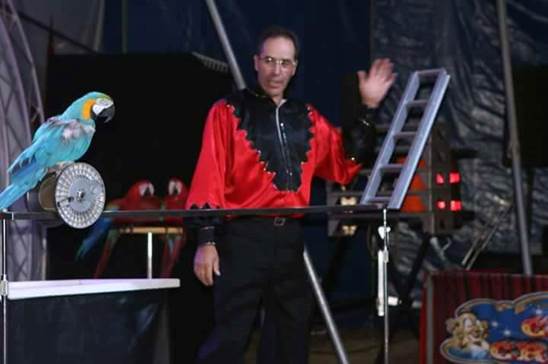 http://circoev.com/yahoo_site_admin/assets/images/21272431_1443668515715730_5835016948797257165_n.24773515_std.jpg
